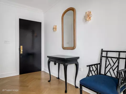 20 E Cedar St #12B, Chicago, IL 60611 photo 9
