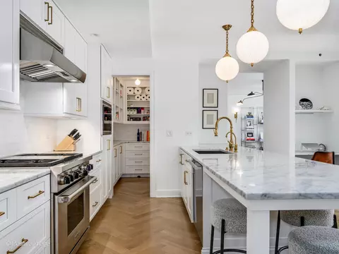 20 E Cedar St #12B, Chicago, IL 60611 photo 12
