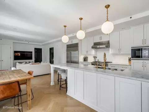 20 E Cedar St #12B, Chicago, IL 60611 photo 13