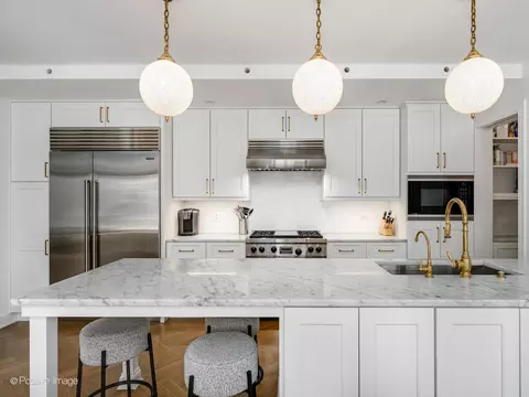 20 E Cedar St #12B, Chicago, IL 60611 photo 14