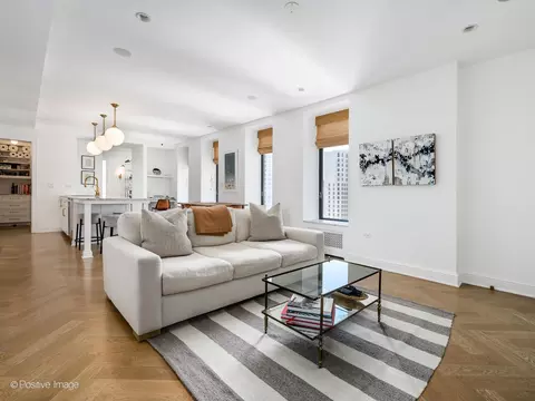 20 E Cedar St #12B, Chicago, IL 60611 photo 18