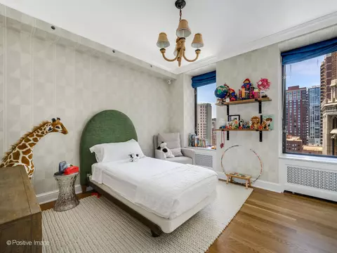 20 E Cedar St #12B, Chicago, IL 60611 photo 23