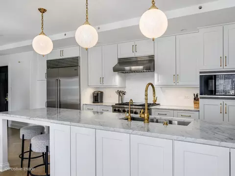 20 E Cedar St #12B, Chicago, IL 60611 photo 15