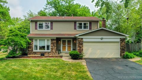 1001 Sara Ln, Naperville, IL 60565