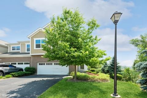 15 E Preserve Dr, Palatine, IL 60074