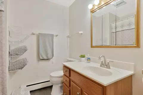 111 Elvin Dr, Ogden, IL 61859 photo 23