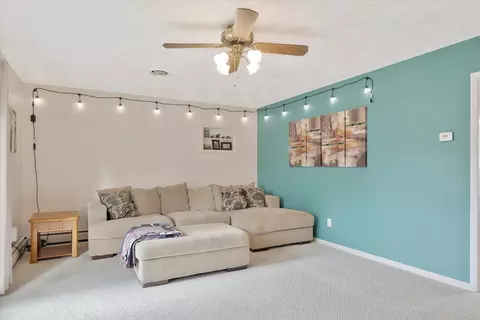 111 Elvin Dr, Ogden, IL 61859 photo 4