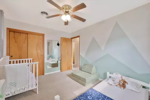 111 Elvin Dr, Ogden, IL 61859 photo 22