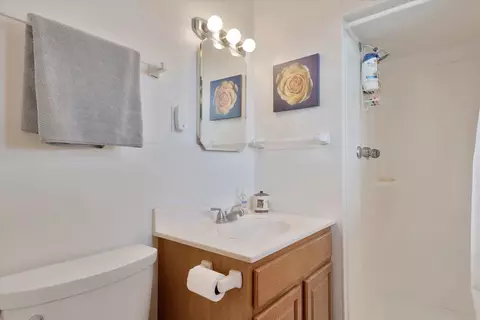 111 Elvin Dr, Ogden, IL 61859 photo 20