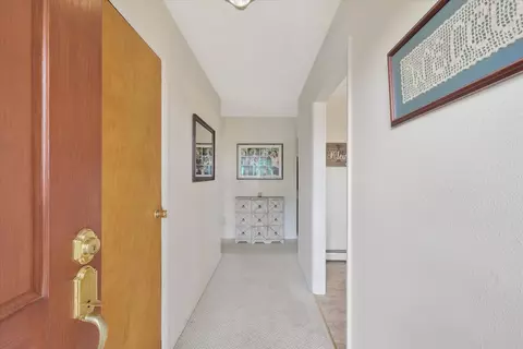 111 Elvin Dr, Ogden, IL 61859 photo 3