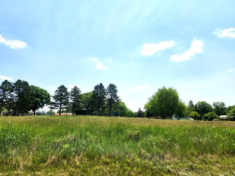 440 Coldspring Drive, Varna, IL 61375