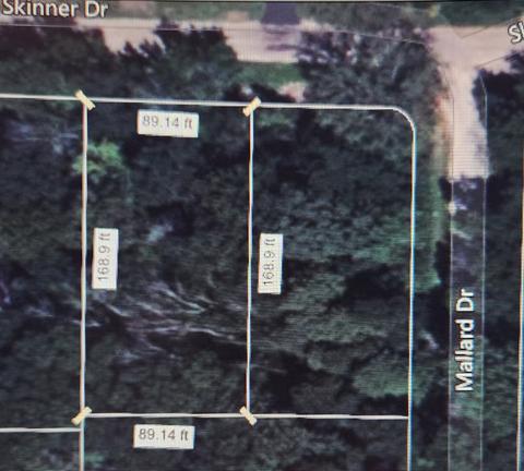 36 Skinner Dr, Putnam, IL 61560