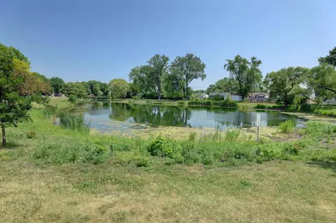 604 E Prairie Ave, Des Plaines, IL 60016 photo 29