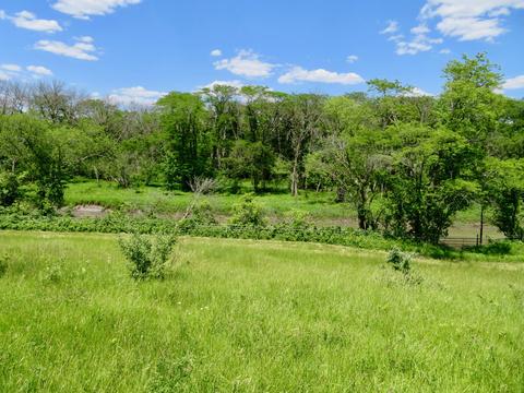998 E 1500 North Rd, Onarga, IL 60955 photo 36