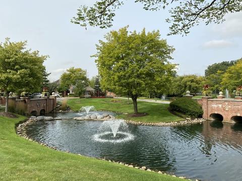 9508 Falling Water Dr W, Burr Ridge, IL 60527 photo 3