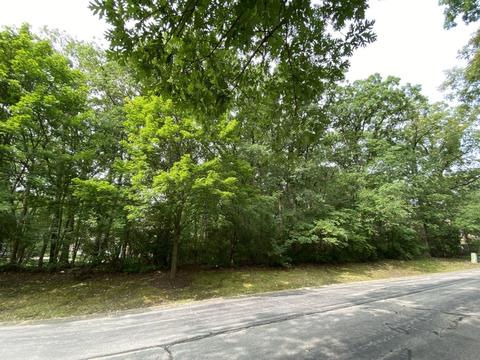 9508 Falling Water Dr W, Burr Ridge, IL 60527 photo 4