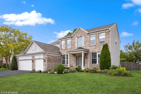 24300 W Bristol Ave, Plainfield, IL 60585