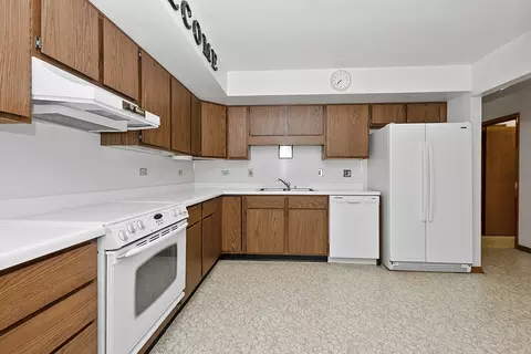 6031 Bentley Ave, Willowbrook, IL 60527 photo 12