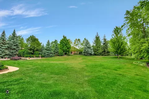 12432 Chiszar Dr, Mokena, IL 60448 photo 33