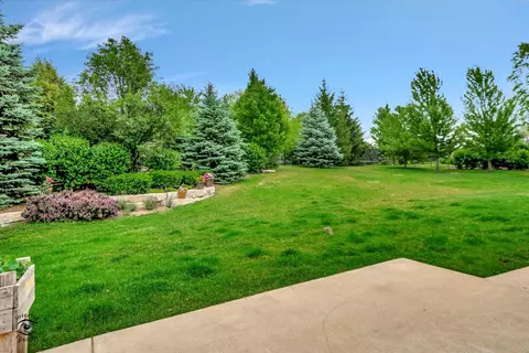 12432 Chiszar Dr, Mokena, IL 60448 photo 31