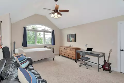 12432 Chiszar Dr, Mokena, IL 60448 photo 24