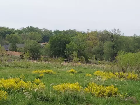 5 Frontenac Dr, West Dundee, IL 60118 photo 7