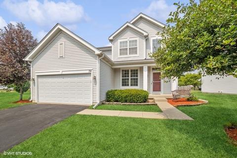 74 Woodland Park Cir, Gilberts, IL 60136