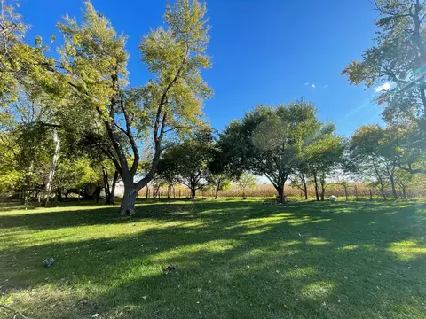 View/Area - 5764 E 200 North Rd, Sidell, IL 61876 photo 2 of 2