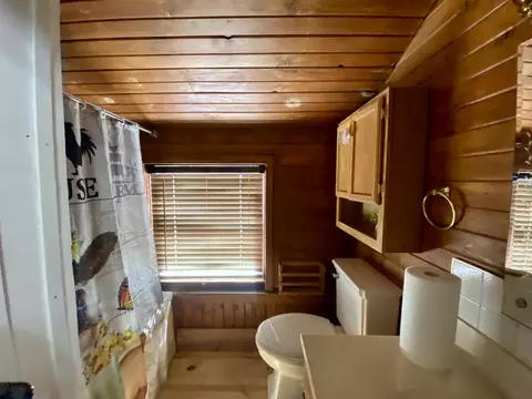 Bath - 5764 E 200 North Rd, Sidell, IL 61876 photo 3 of 3