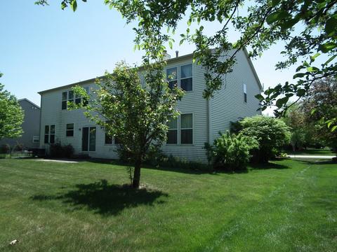 24632 Apollo Dr, Plainfield, IL 60585 photo 22