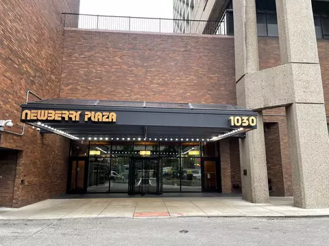 1030 N State St #29M, Chicago, IL 60610