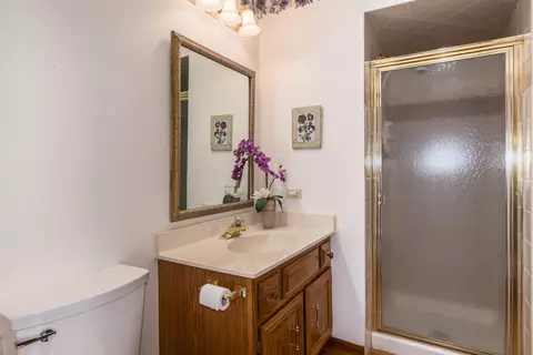 23 W230 Hampton Cir, Naperville, IL 60540 photo 20