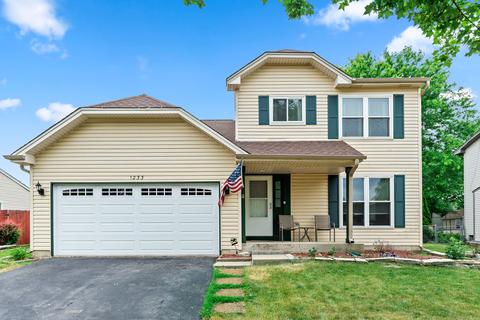 1233 Sebring Cir, Elgin, IL 60120 photo 1
