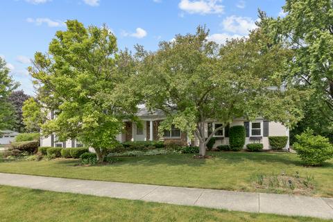 540 Springhill Dr, Roselle, IL 60172 photo 26