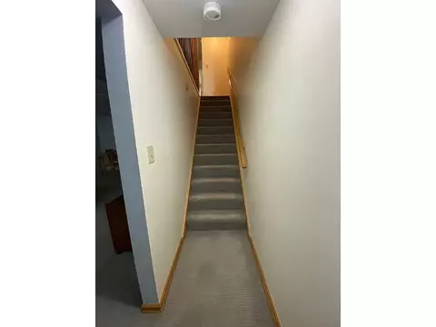 932 E 55th St, Chicago, IL 60615 photo 45