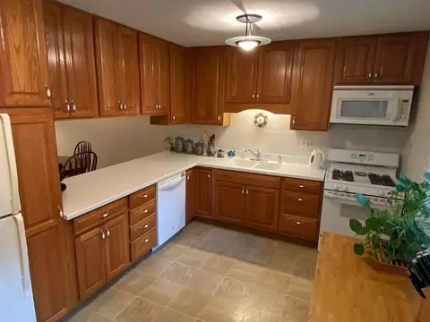 932 E 55th St, Chicago, IL 60615 photo 13