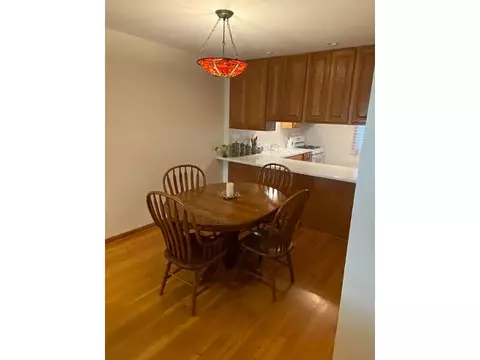 932 E 55th St, Chicago, IL 60615 photo 12