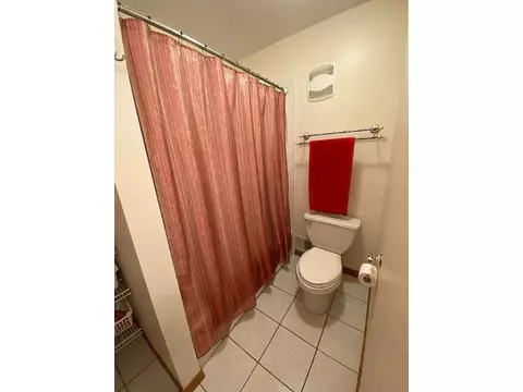932 E 55th St, Chicago, IL 60615 photo 27