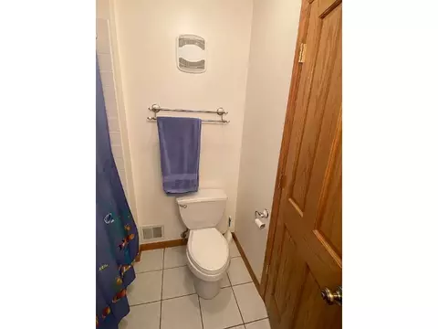 932 E 55th St, Chicago, IL 60615 photo 31