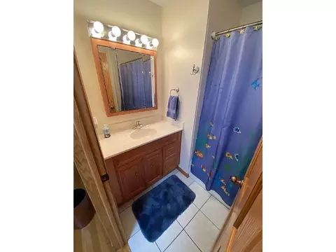 932 E 55th St, Chicago, IL 60615 photo 30