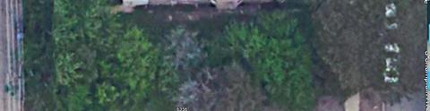 6352 S Champlain Ave, Chicago, IL 60637 photo 6