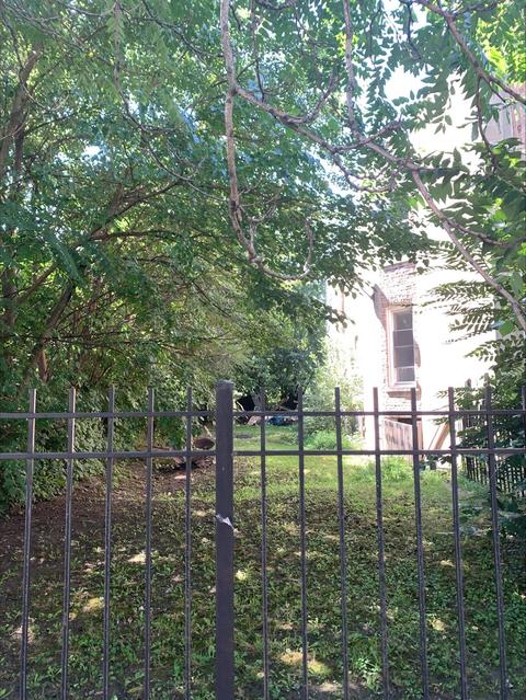 6352 S Champlain Ave, Chicago, IL 60637 photo 3