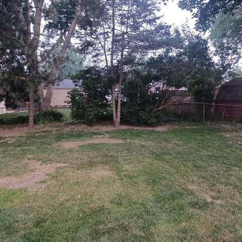 1109 Bryan St, Normal, IL 61761 photo 14