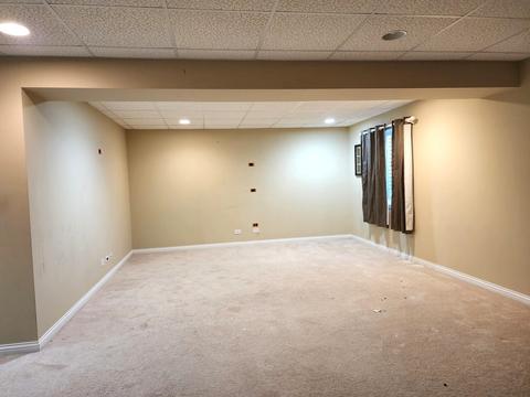 863 Alpine Trl, Aurora, IL 60504 photo 19