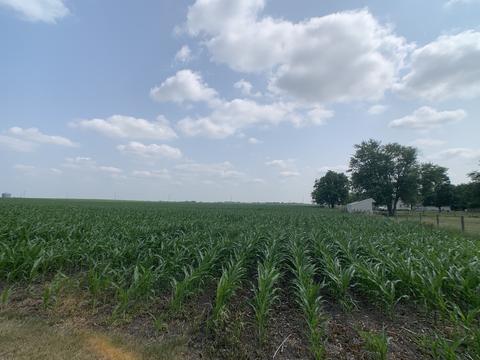 300 E Washington St, Magnolia, IL 61336 photo 29