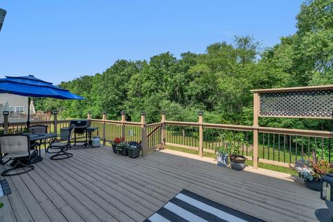 1508 Marigold Ln, Minooka, IL 60447 photo 39