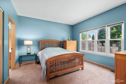 4111 Dillon St, Plano, IL 60545 photo 8