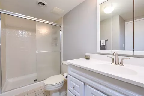 1728 Maple Ln, Wheaton, IL 60187 photo 40