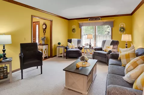 125 Split Oak Rd, Naperville, IL 60565 photo 6