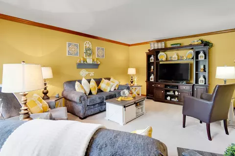 125 Split Oak Rd, Naperville, IL 60565 photo 5